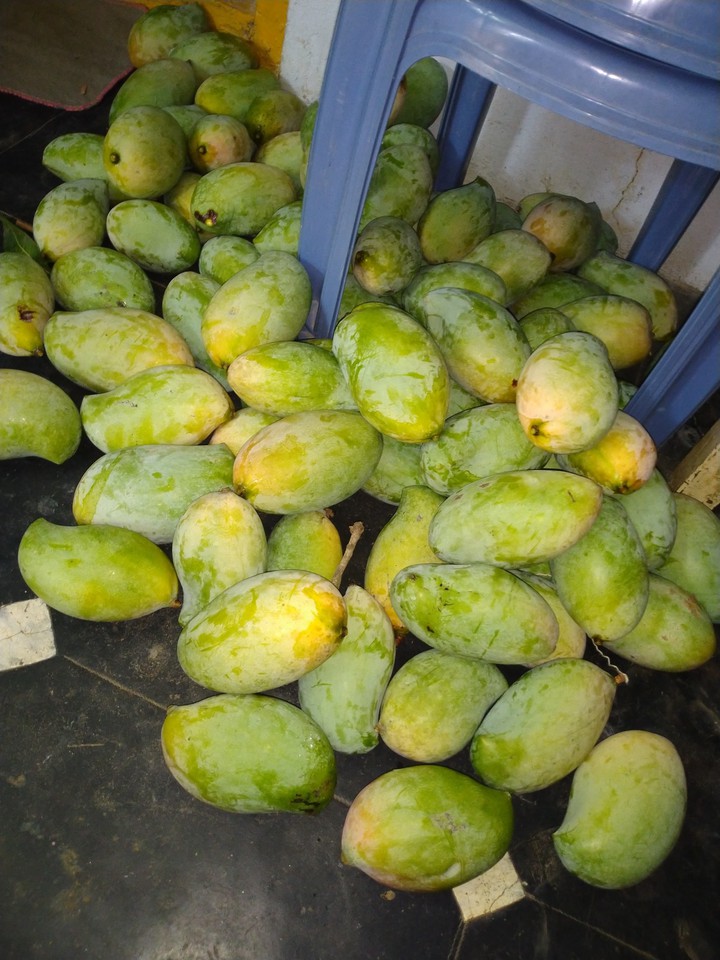 Mangoes