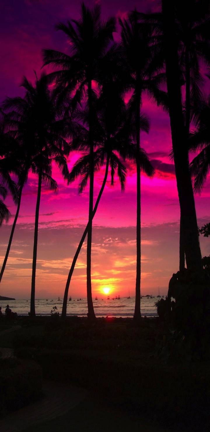 sun