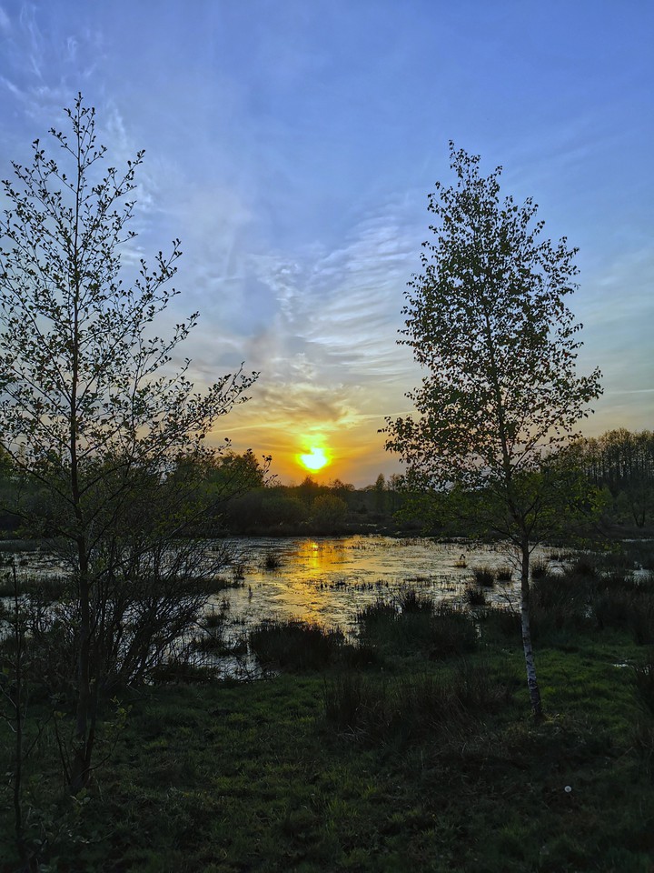 Swamp Sundown