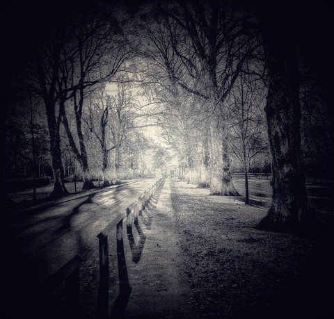 The Light Ahead