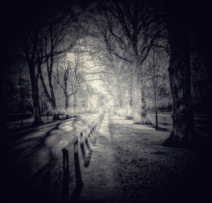 The Light Ahead