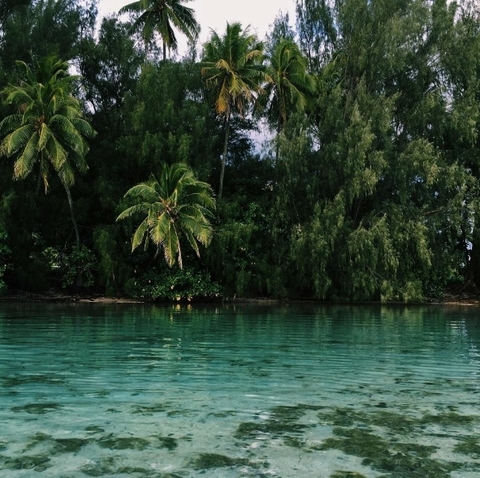 Красота