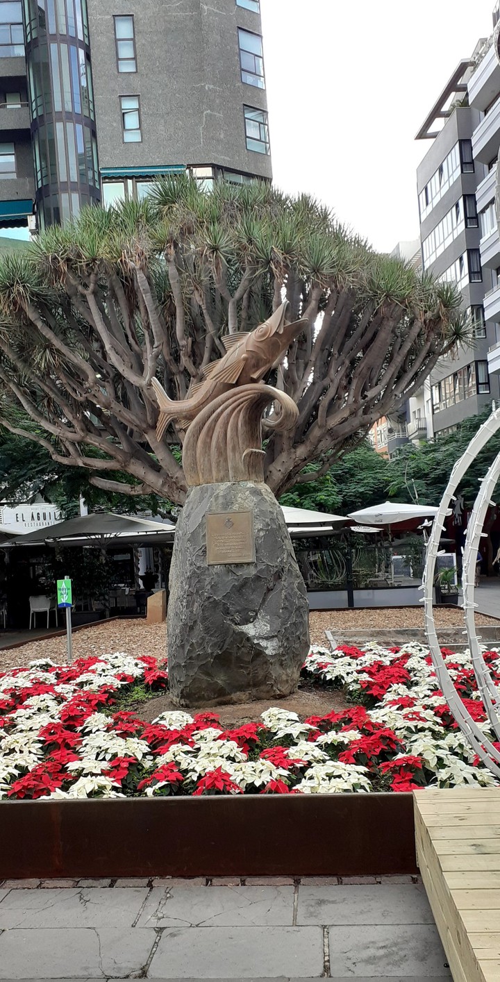Flores