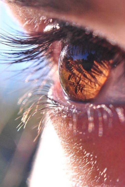 eyes