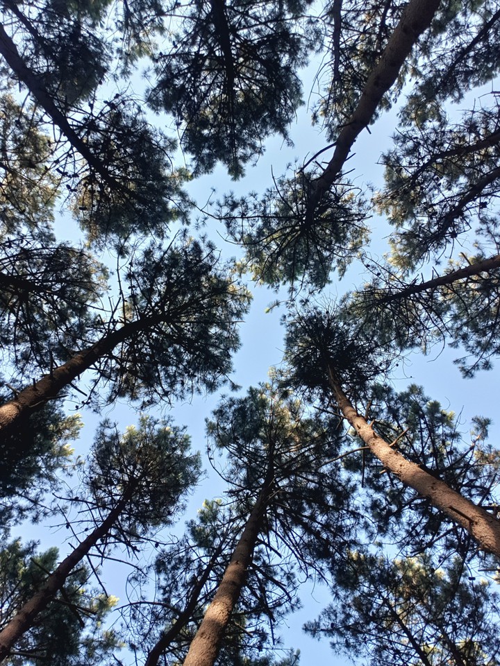 What's more beautiful than nature?