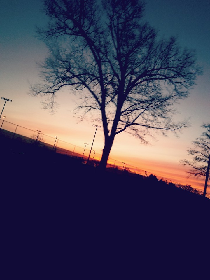 Sun Rise