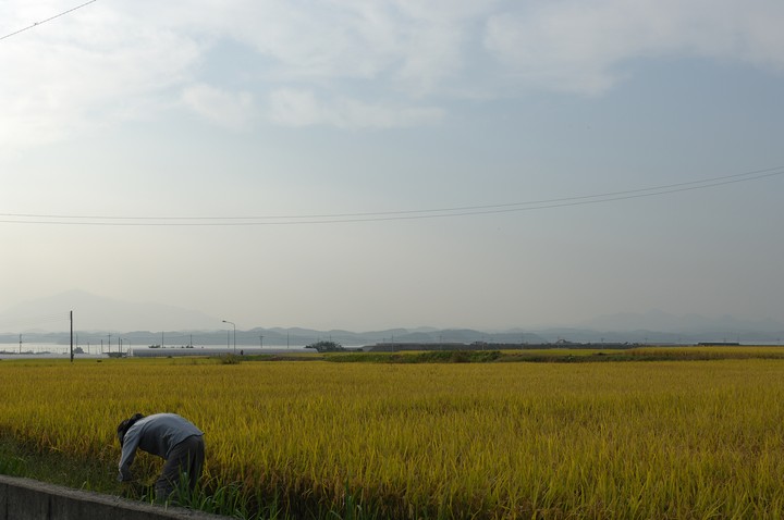 Scenics