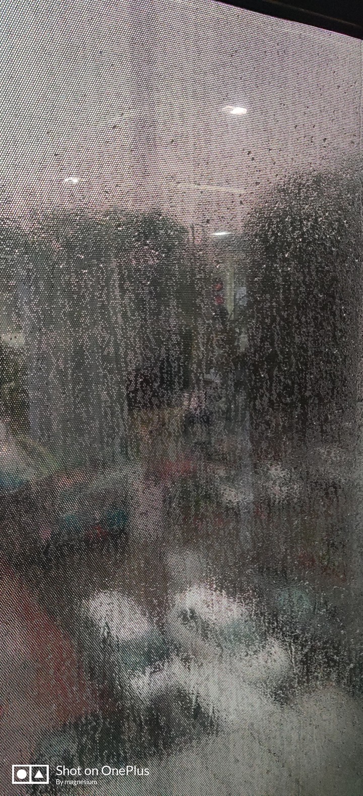 Rainy view from window