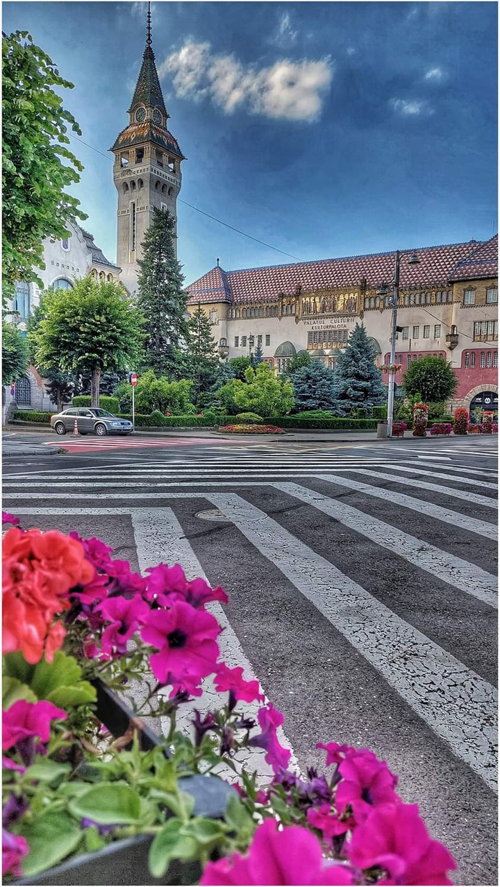 Targu Mures