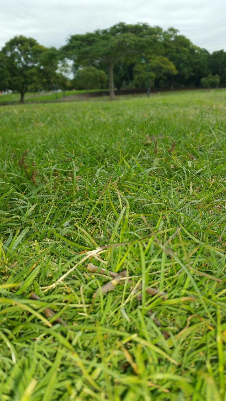 natural