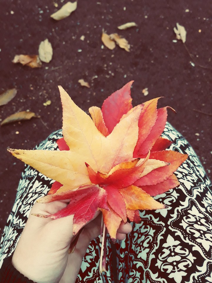outumn colors
