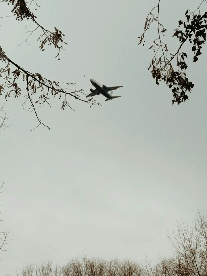 ✈