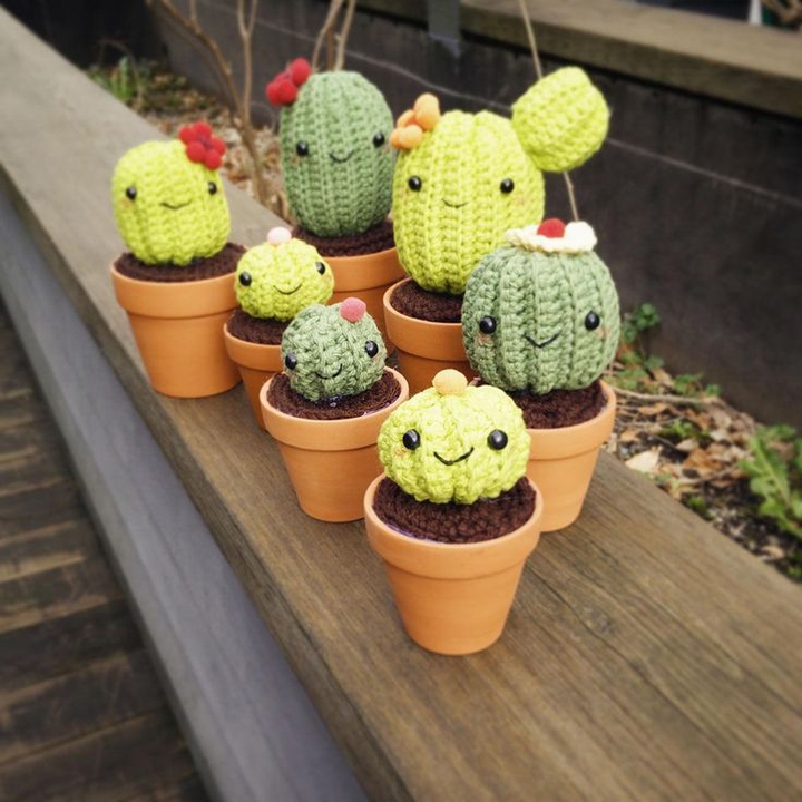 cactus