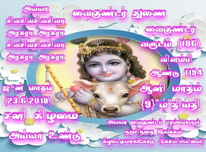 Good morning