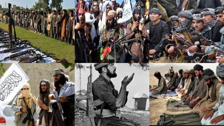 Mujahid
