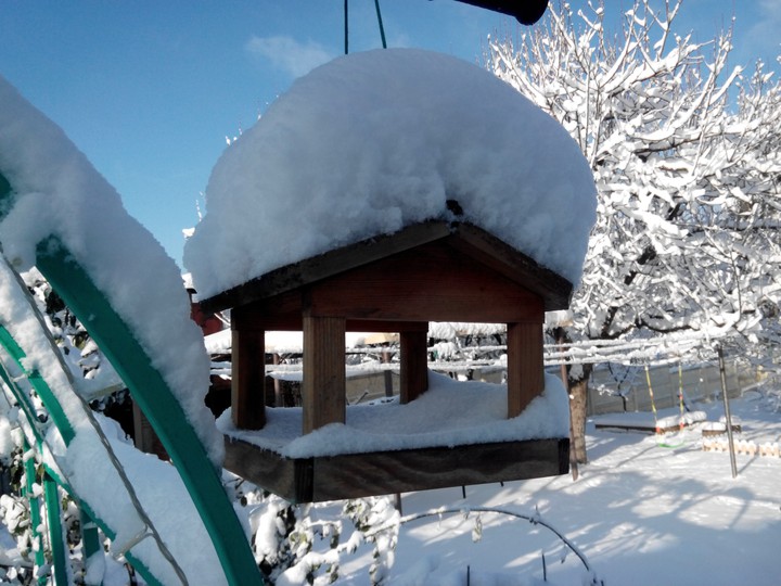 Winter