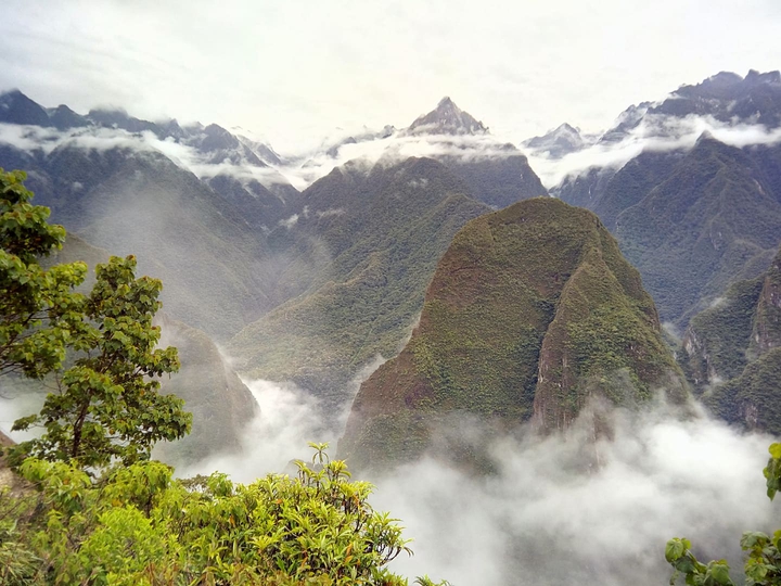 Peruvian jungle