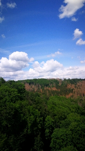 MEGAZIPLINE