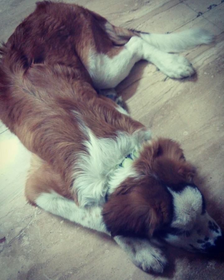 Sleeping beauty <3