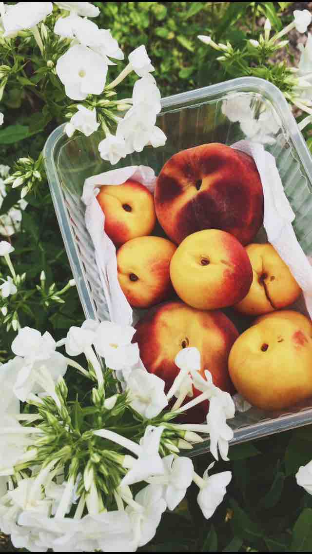 Peach
