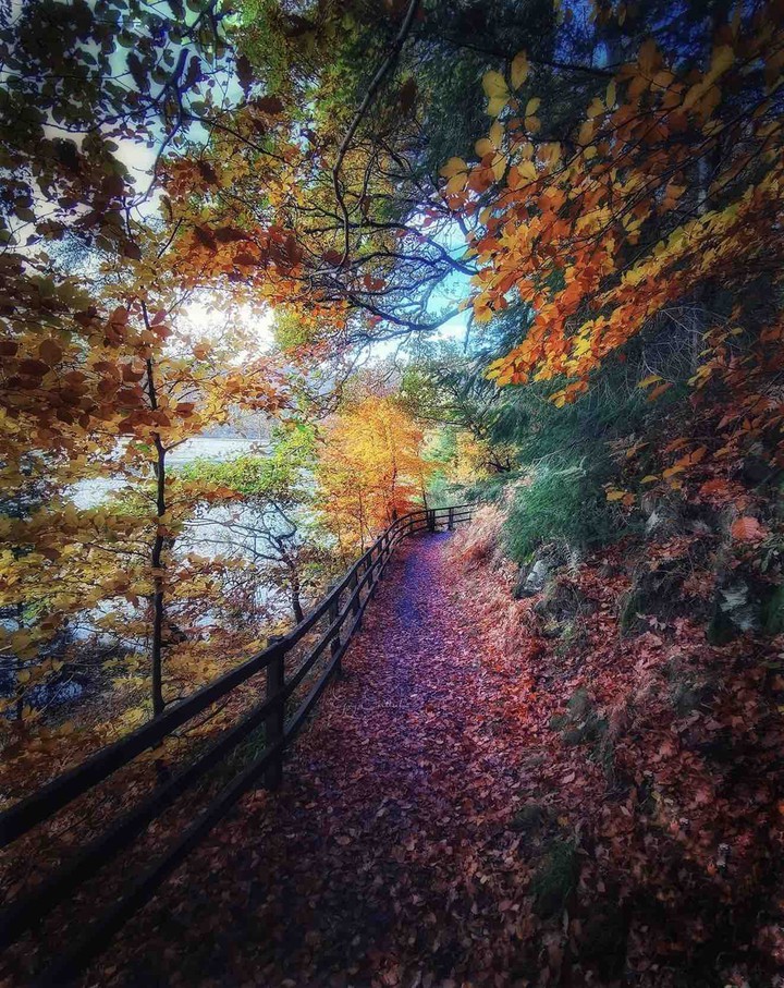 nature