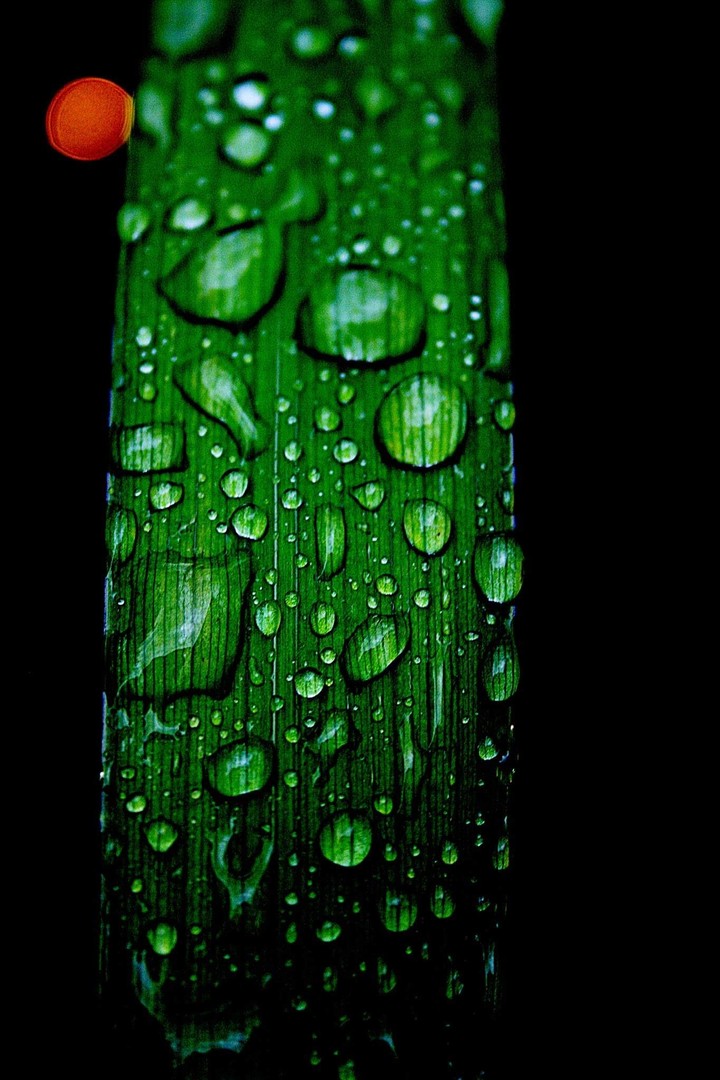 Drops