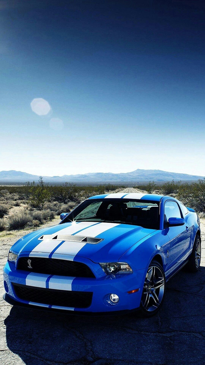 Mustang!!!!!❤❤❤