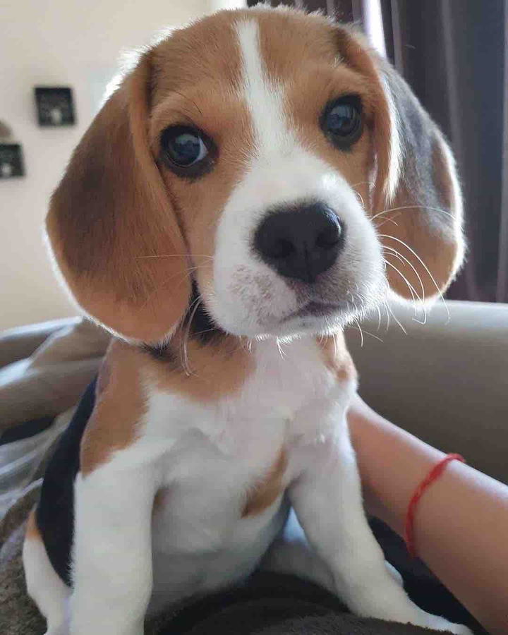 cute