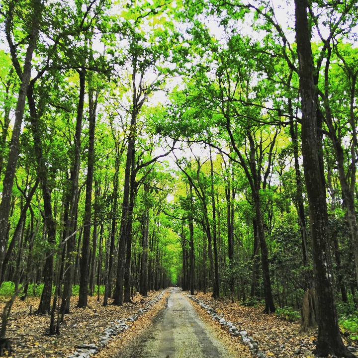roads less traveled