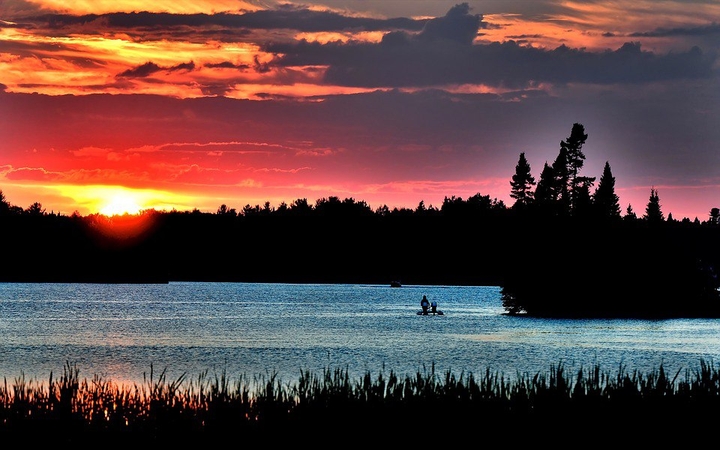 Beautiful Nature