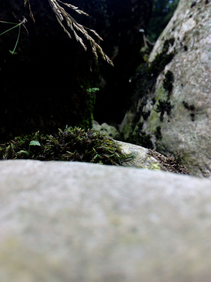 Boulder
