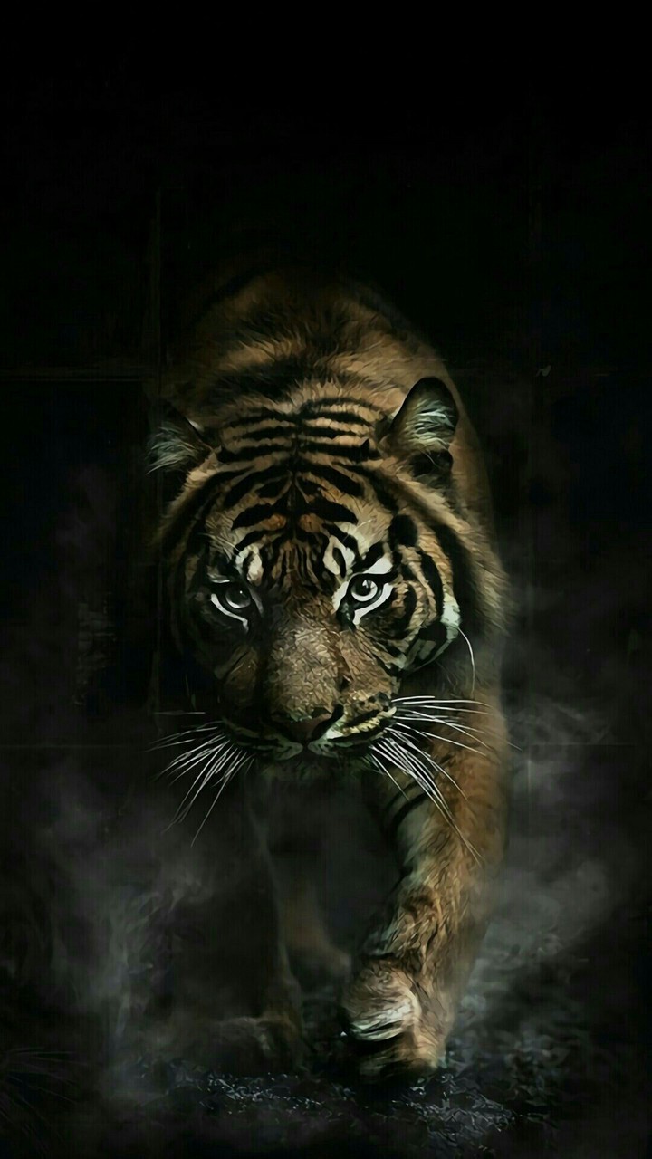 tiger hunt