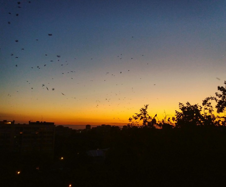 dawn