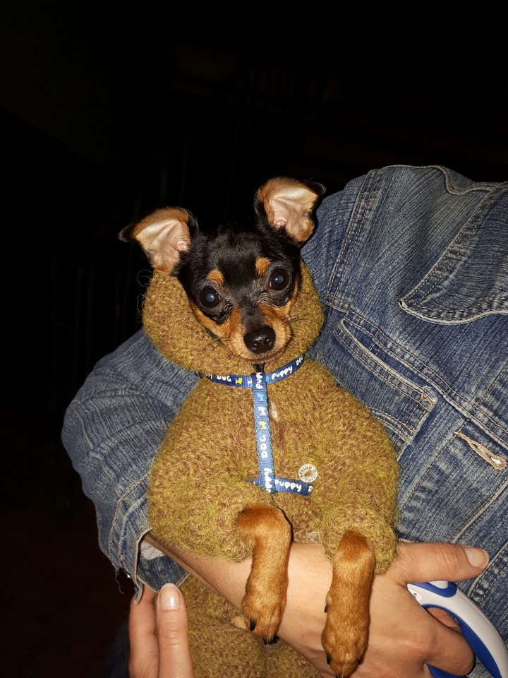 Идём гулять.