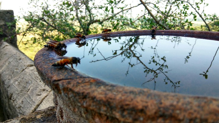 natural... reflections
