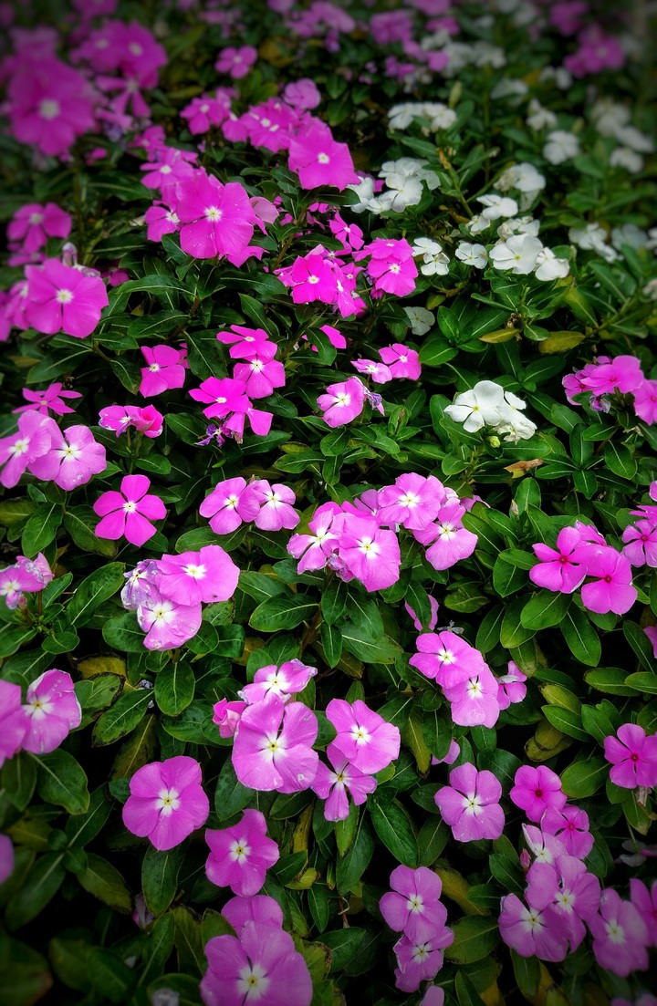 Colorful