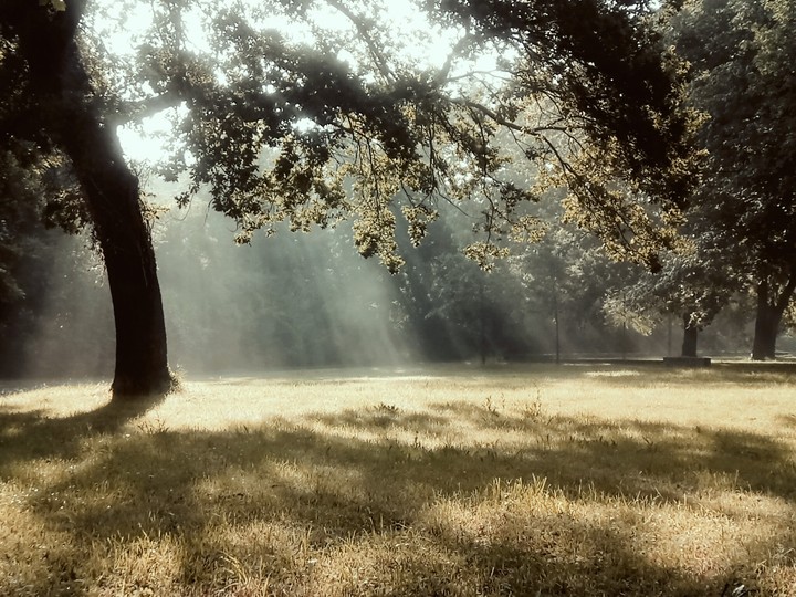 morning sun