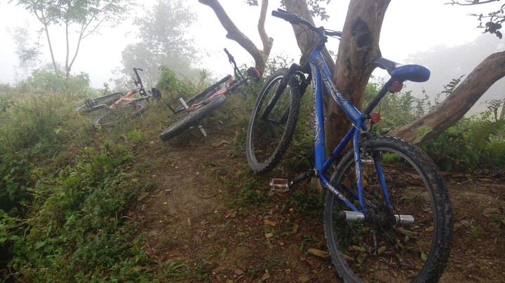 neblina