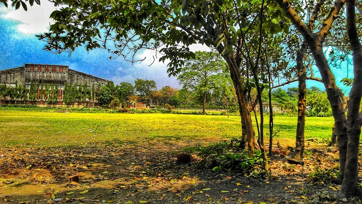 scenary