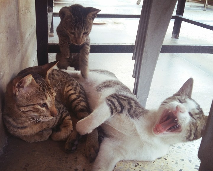 all seem to be bored of Sunday hehe