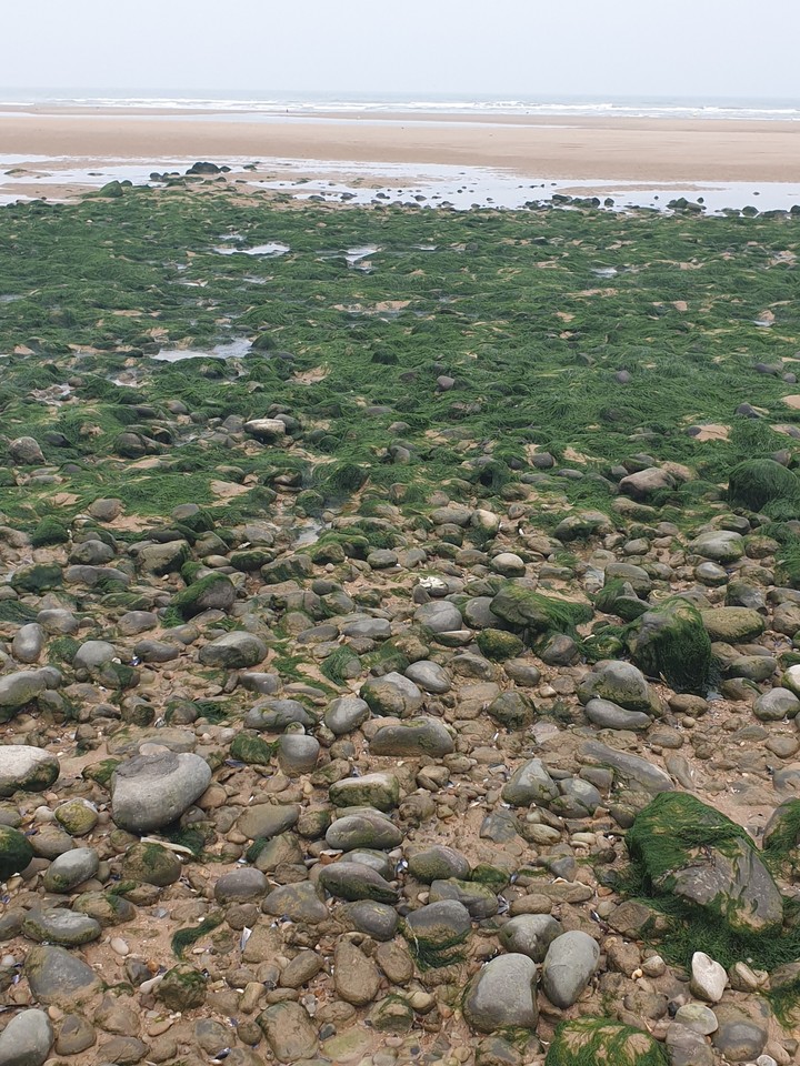 Stoned beach