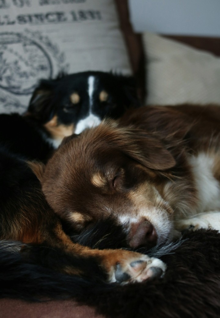 kuschelzeit