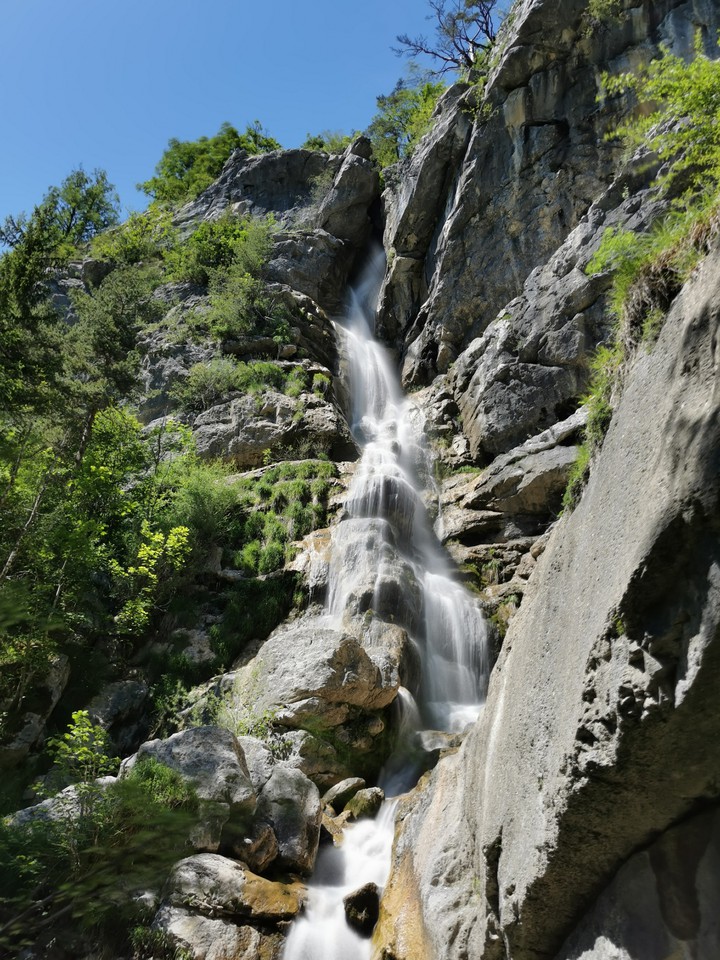 Nature brut