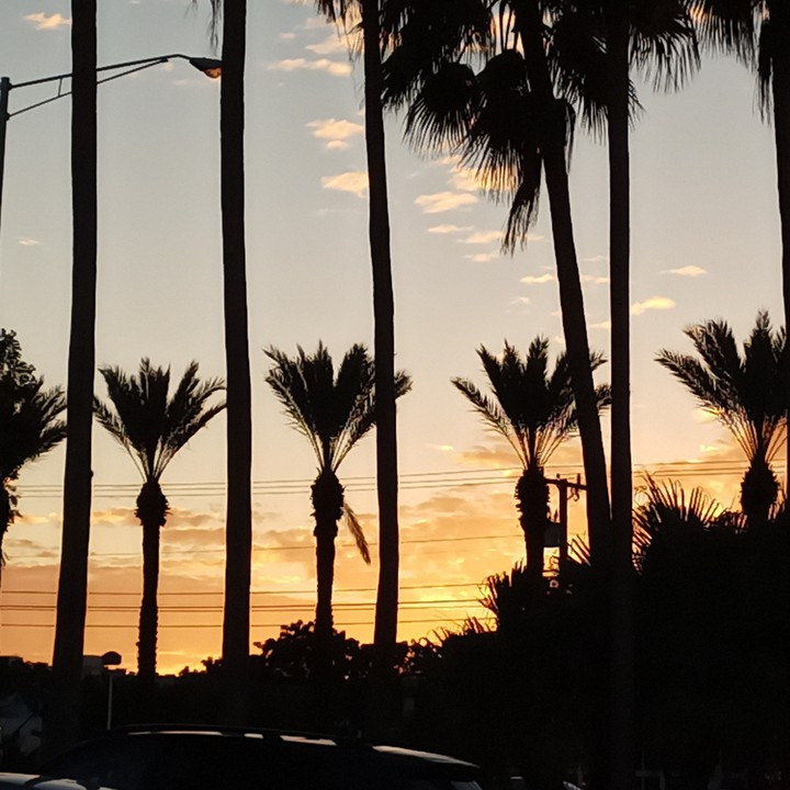 Miami at Sunset