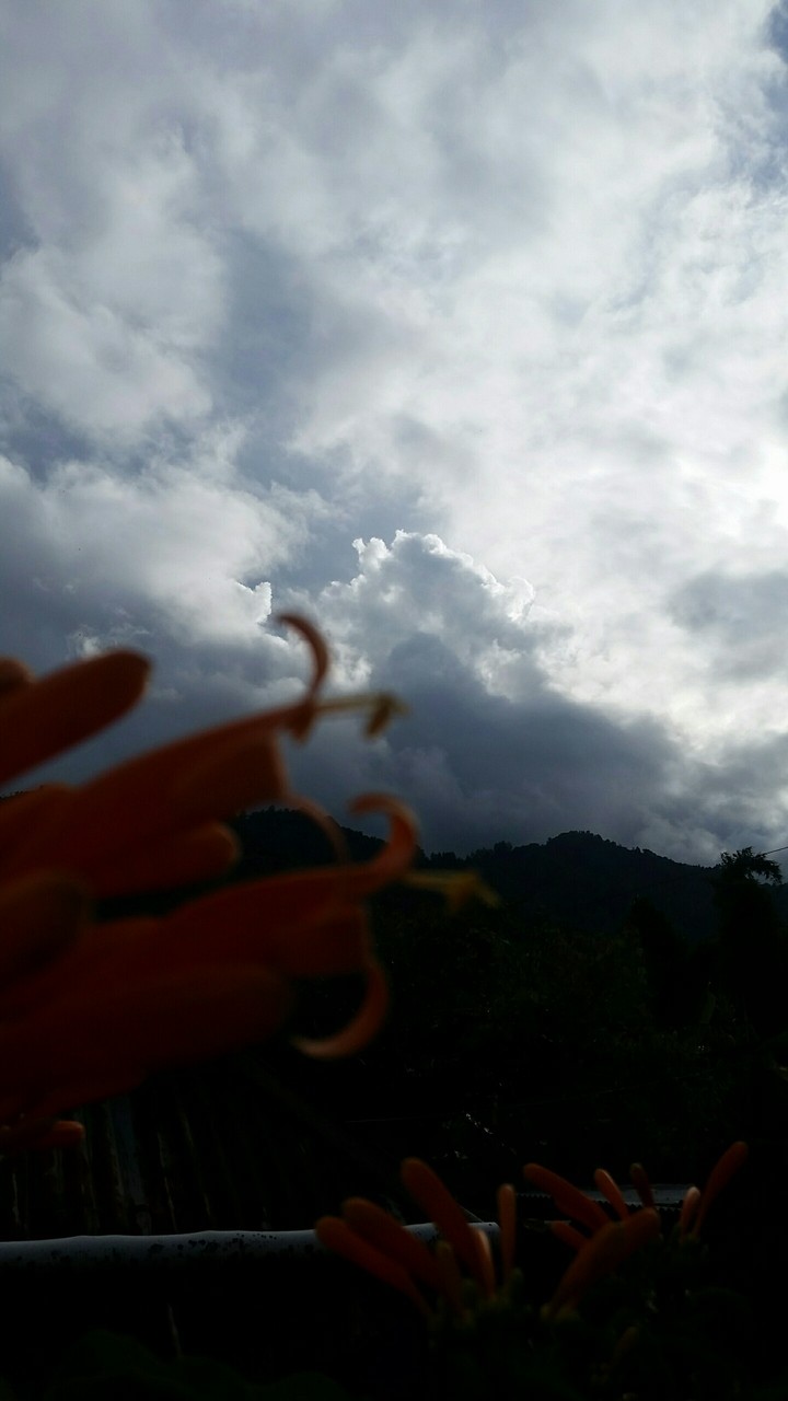 Atardecer