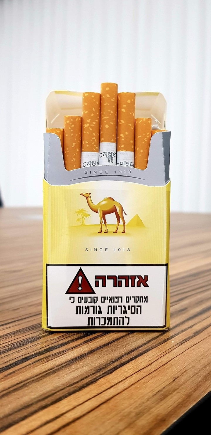 camel