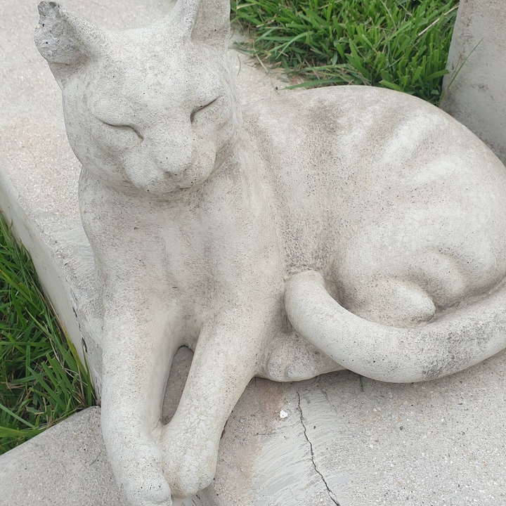 켓츠