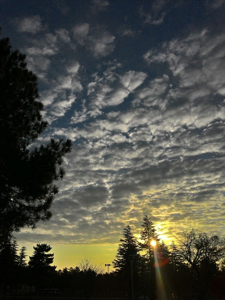 The lights in the morning on a college campus.