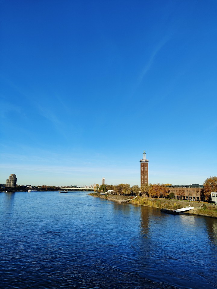 Rhine