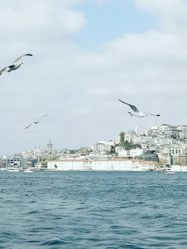 İstanbul ❤